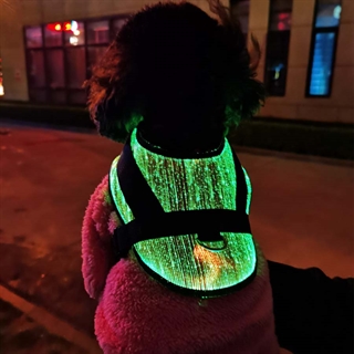 Hundesele med multifarvet lys